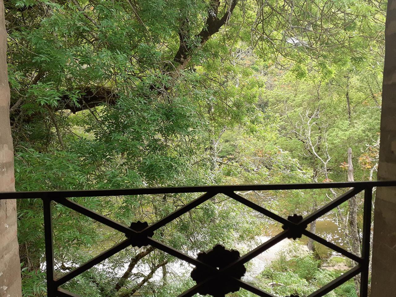 Le Moulin De Saleth Hotel Saint-Antonin Cameră foto